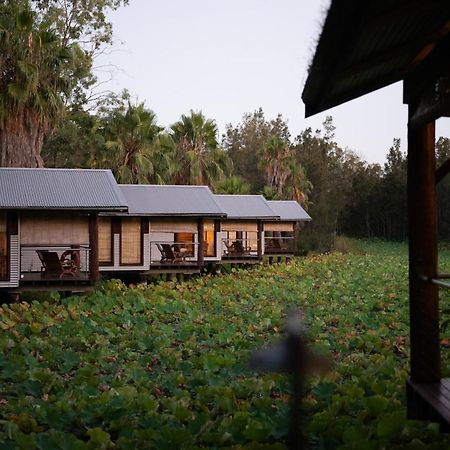 The Boathouses At Leaves & Fishes Lovedale Luaran gambar