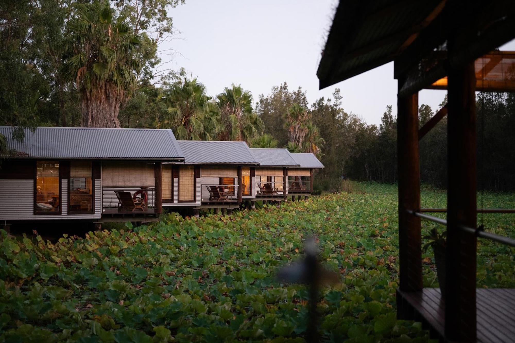 The Boathouses At Leaves & Fishes Lovedale Luaran gambar