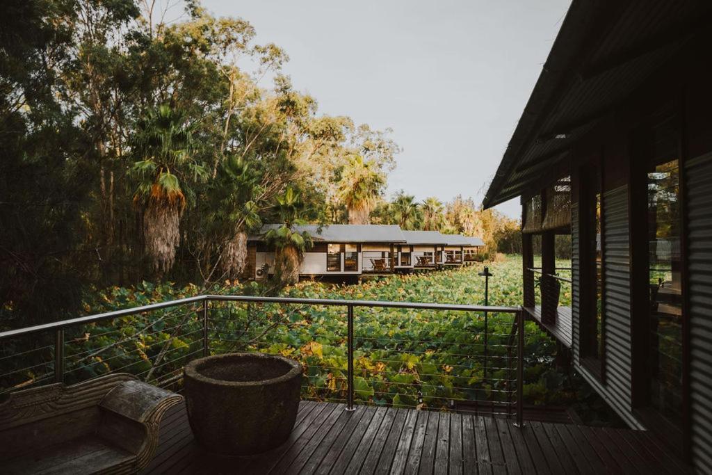The Boathouses At Leaves & Fishes Lovedale Luaran gambar