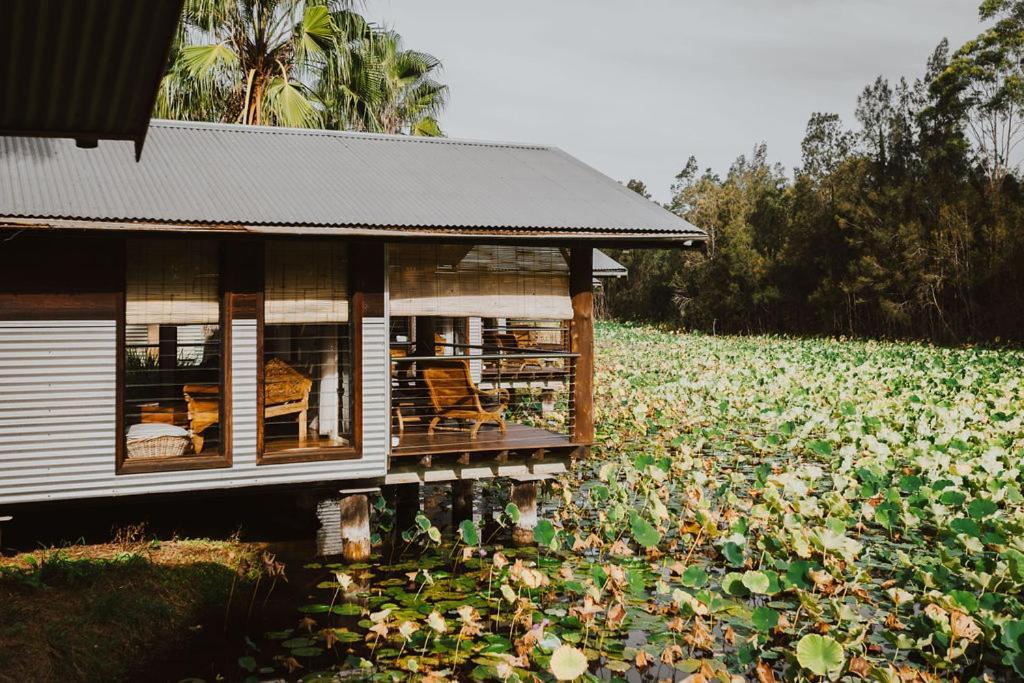 The Boathouses At Leaves & Fishes Lovedale Luaran gambar