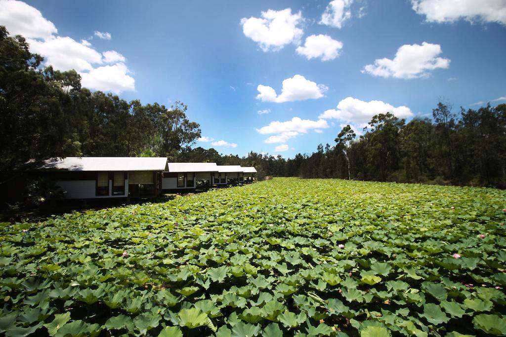 The Boathouses At Leaves & Fishes Lovedale Luaran gambar